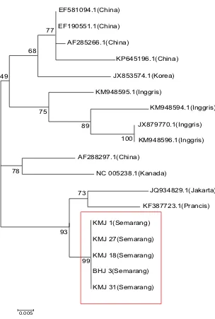 Gambar 3. Pohon Filogeni Sekuen Segmen L Virus Seoul.  Pohon Filogeni Dikontruksi dengan Menggunakan Metode Maximum likelihood boostrap 1000x