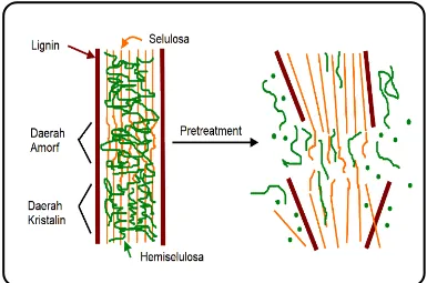 Gambar  1.  Skema    Pretreatment  Bahan  Lignoselulosa  (Mosier  et  al.,  2005)  