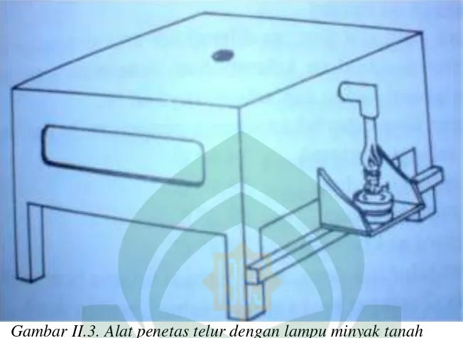 Gambar II.4. Penampang alat penetas telur dengan lampu minyak tanah Sumber : Marhiyanto.Bambang, Mengelolah itik(2004) 