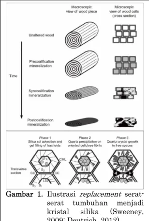 Gambar  1.  Ilustrasi  replacement  serat- serat-serat  tumbuhan  menjadi  kristal  silika  (Sweeney,  2009; Deutrich, 2012) 
