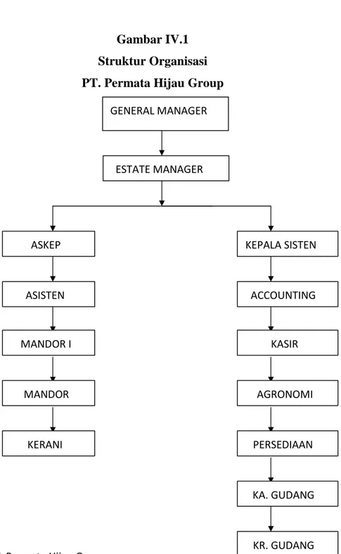 Gambar IV.1  Struktur Organisasi  PT. Permata Hijau Group 