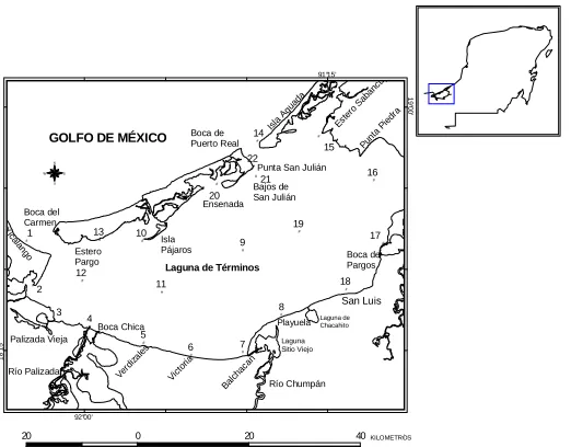 Figure 1.  Location map of Laguna de Terminos in Yucatán Peninsula, Mexico (David and  Kjerfe, 1998)