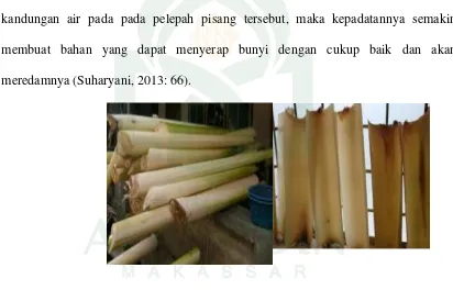 Gambar 2.4: Batang (Pelepah pisang) (Sumber: Suharyani, 2012) 