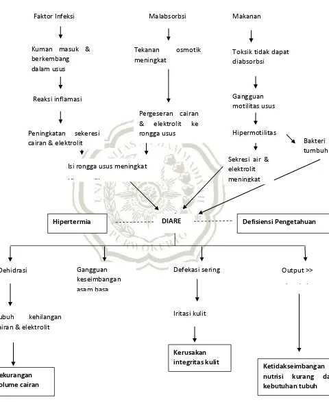 Gambar 2.2 Pathways Diare (Hardi & Amin, 2013) 