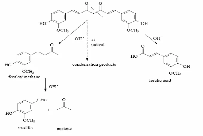 Gambar 2. Proses degradasi kurkumin (Tonnesen dan Karlsen, 1985)