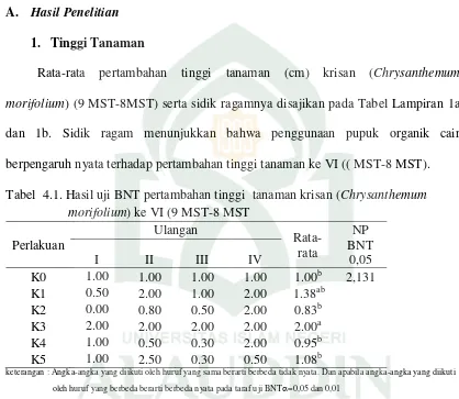 Tabel  4.1. Hasil uji BNT pertambahan tinggi  tanaman krisan (Chrysanthemum    