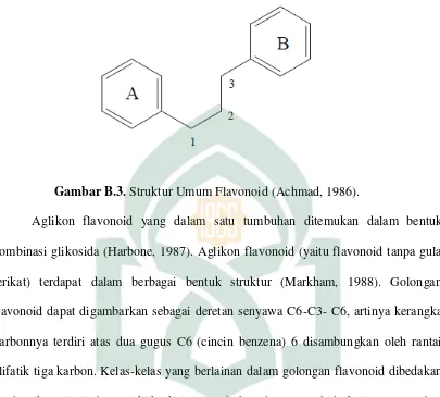 Gambar B.3. Struktur Umum Flavonoid (Achmad, 1986). 