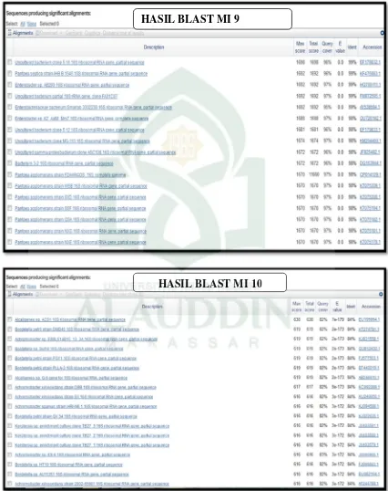 Gambar 4.2. Tabel hasil analisis BLAST isolat MI 1, MI 5, MI 9 dan MI 10 