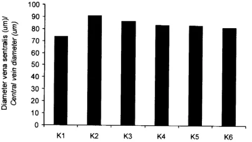 Figure  3. Mean  diameter  of  centratvein  (pm).