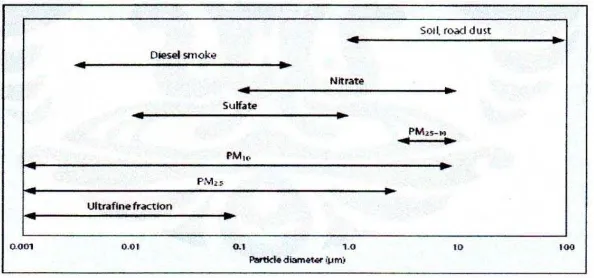 Gambar 2.1. Berbagai Ukuran Partikel di Udara 