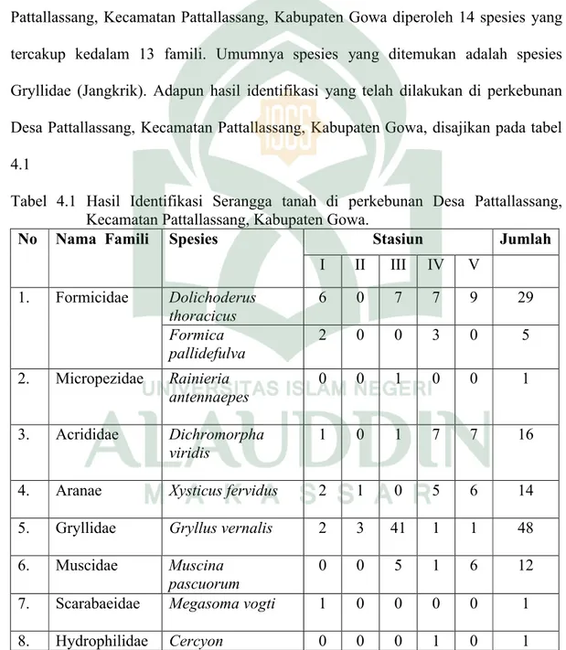 Tabel  4.1  Hasil  Identifikasi  Serangga  tanah di  perkebunan  Desa  Pattallassang,  Kecamatan Pattallassang, Kabupaten Gowa.