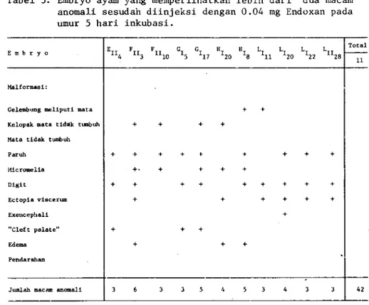 Tabel  3:  Ernbryo  ayan  yang  memperlihatkan  lebih anomali  sesudair  diinjeksi  dengan  0.04 umur  5  hari  inkubasi.