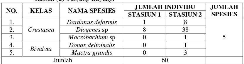 Tabel 4.1 Keanekaragaman makrozoobentos di stasiun (1) Pantai Akkarena dan stasiun (2) Tanjung Bayang