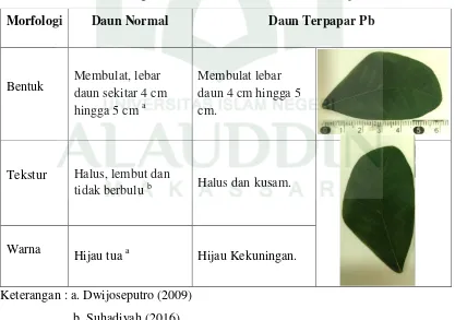 Tabel 4.3 Kondisi morfologi daun trembesi (Samanea saman (Jacq.) Merr)  