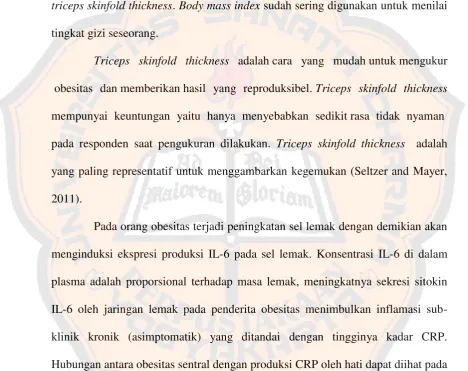 gambar 8.  