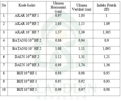 Tabel 4.1.Hasil Isolasi dan Seleksi Bakteri Endofit Penghasil Fitase dari  Tanaman Jagung (Zea mays) 