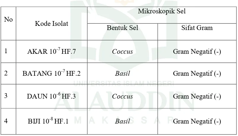 Tabel 4.3.Pengamatan Mikroskopik Empat Koloni Isolat Bakteri Endofit Penghasil  Fitase  yang Terpilih dari Tanaman  Jagung (Zea mays) 