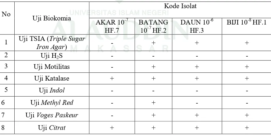 Tabel 4.4.Hasil Uji Biokimia pada  lima Koloni Isolat Bakteri Endofit Penghasil  Fitase  yang Terpilih dari Tanaman  Jagung (Zea mays) 