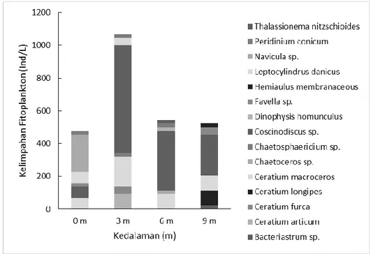 Gambar  3.    Dinamika  jumlah  dan  jenis  fitoplankton  di  Pantai  Timur  Pananjung  Pangandaran berdasarkan kedalaman 