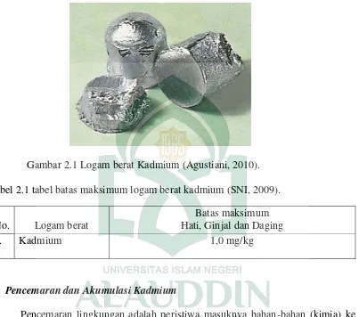 Gambar 2.1 Logam berat Kadmium (Agustiani, 2010). 