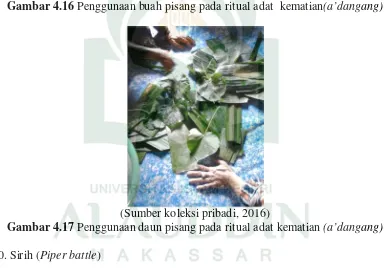 Gambar 4.16 Penggunaan buah pisang pada ritual adat  kematian(a’dangang) 