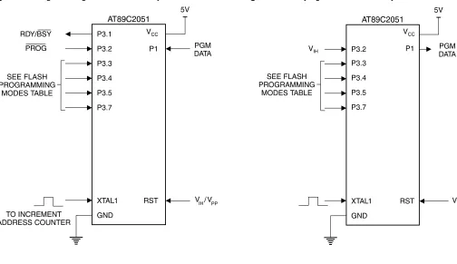 Figure 3.  Programming the Flash Memory