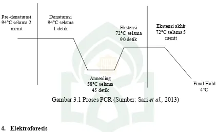 Gambar 3.1 Proses PCR (Sumber: Sari et al., 2013) 