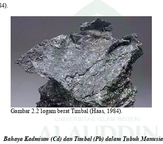 Gambar 2.2 logam berat Timbal (Haas, 1984). 