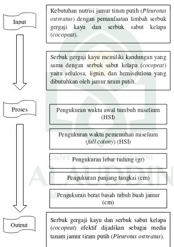 Gambar 2.2 Alur skematis dari penelitian 