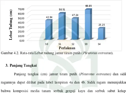 Gambar 4.2. Rata-rata Lebar tudung jamur tiram putih (Pleurotus ostreatus). 