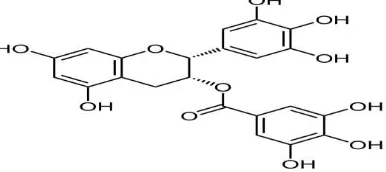 Gambar 4. Struktur epigalokatekin-3-galat (Su-no-G, 2007) 