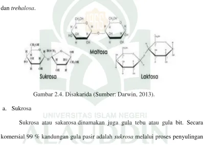 Gambar 2.4. Disakarida (Sumber: Darwin, 2013). 