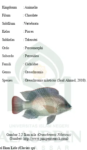 Gambar 2.2 Ikan nila (Oreochromis Niloticus)