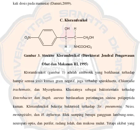 Gambar 3. Struktur Kloramfenikol (Direktorat Jendral Pengawasan 