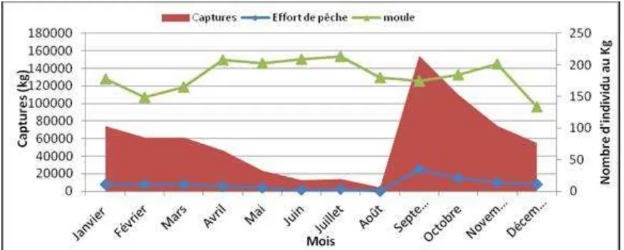 Figure 1 : Variation des captures, de l’effort de pêche et du nombre d’individus par kg  
