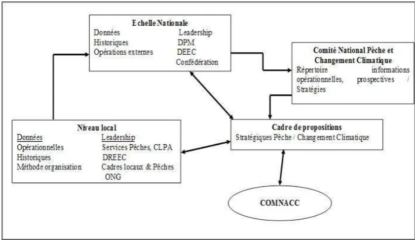 Figure 6: Fisheries/Climate Change consultation frameworks and the linkages between them 