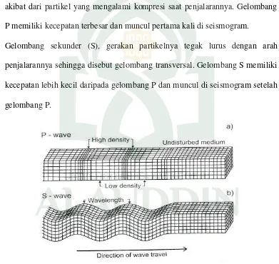 Gambar 2.3 a) Gelombang primer (P) a) Gelombang sekunder (S) (Sumber: 