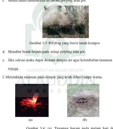 Gambar 3.2: Mencampurkan tanah kompos 