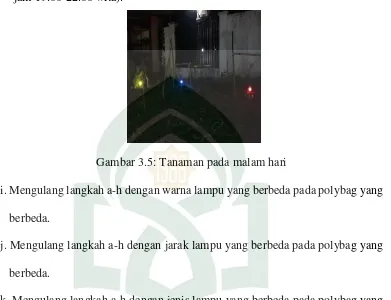 Gambar 3.5: Tanaman pada malam hari 