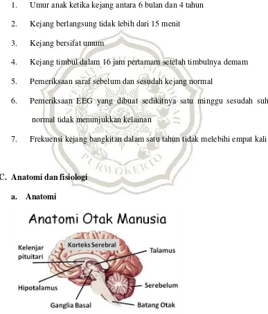 Gambar 3.1. Anatomi otak manusia (Sumber: Adamskornicki.com, 2012) 
