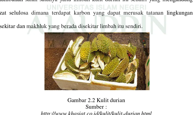 Gambar 2.2 Kulit durian 