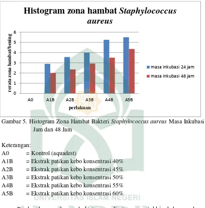 Gambar 5. Histogram Zona Hambat Bakteri Staphylococcus aureus Masa Inkubasi 24 