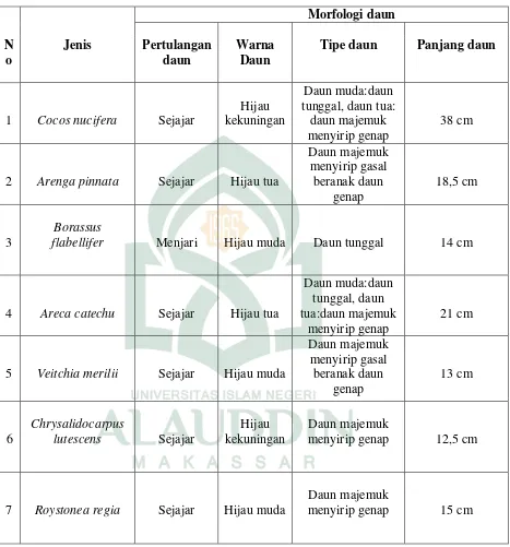 Tabel 4.4 Morfologi Daun Familia Arecaceae pada Tingkatan Jenis 