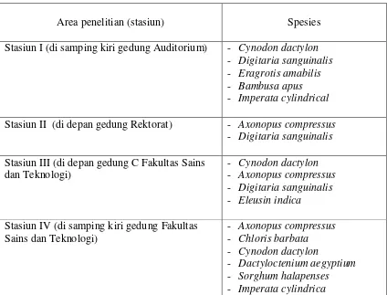 Table 4.1.  Pengamatan Jenis-jenis Poaceae di Area Penelitian (stasiun) Kampus 2 UIN Alauddin
