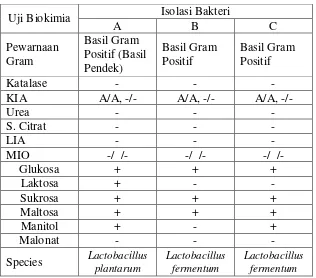 Tabel IV. 1. Tabel karakterisasi dan identifikasi bakteri asam laktat :  