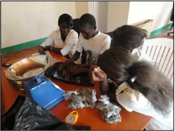 Figure 17.  Skills Training Program participants (TRY members’ daughters) conduct biological  sampling of oysters from sales points during the 4 month open season