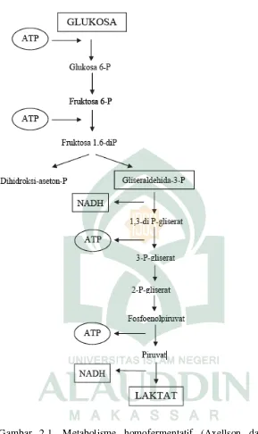 Gambar 2.1. Metabolisme homofermentatif (Axellson dalam Salminen (2004)) 
