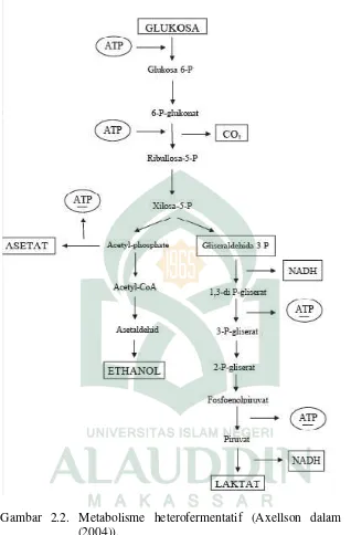Gambar 2.2. Metabolisme heterofermentatif (Axellson dalam Salminen 
