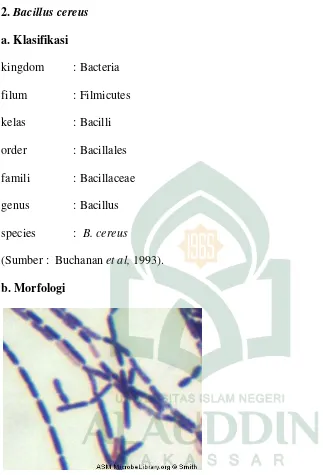 Gambar 2.6 : Bentuk Bacillus cereus (ASMCUE, 2005).  