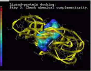 Gambar samping menunjukkan salah satu langkah pemodelan molekul yang menggambarkan interaksi akan membahas bagaimana "rumitnya" memodelkan tergambar di sini adalah bagian dari kajian tentang Design of HIV-1 Protease Inhibitorsuatu senyawa (umumnya obat) de